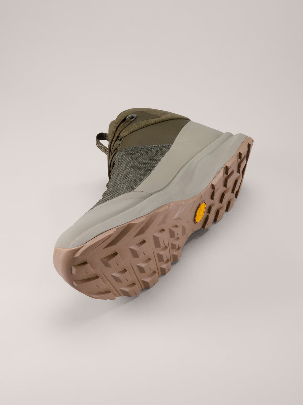 Aerios FL 2 Mid GTX Shoe Men's