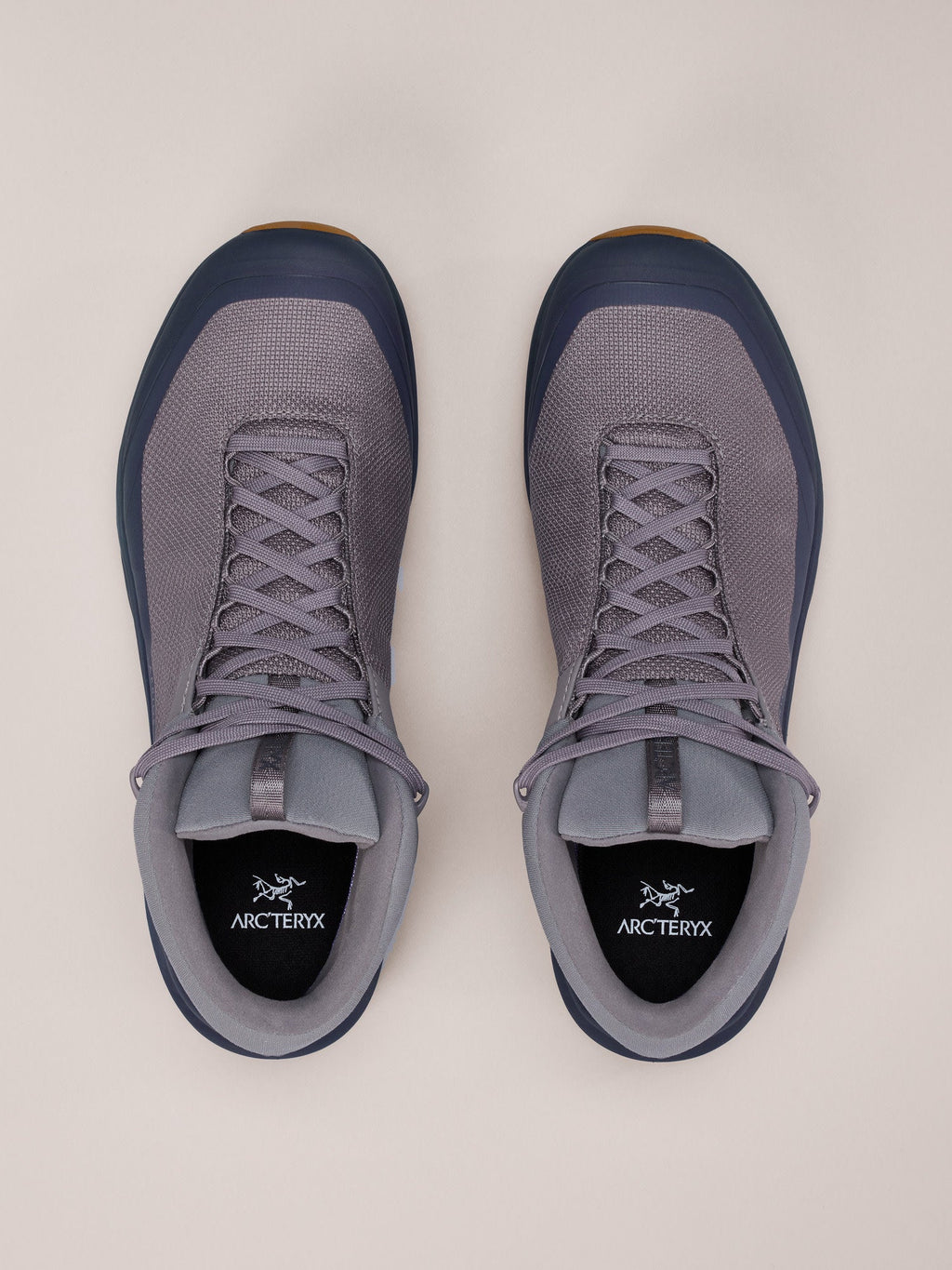 Aerios FL 2 Mid GTX Shoe Men's