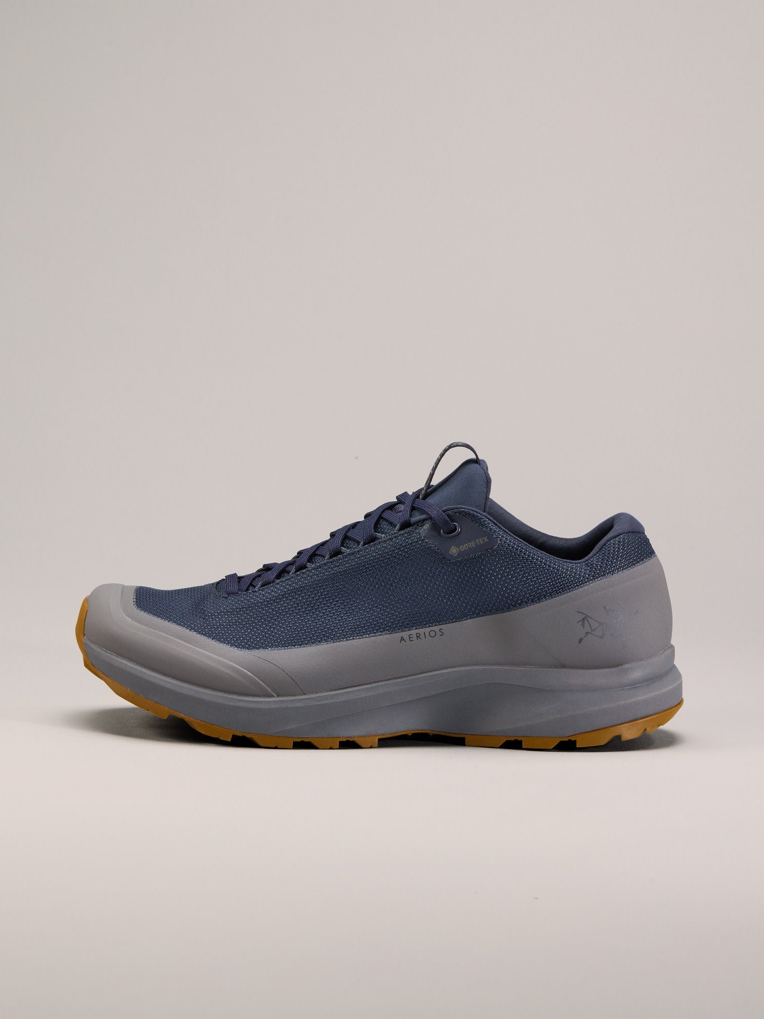 Aerios FL 2 GTX Shoe Men's